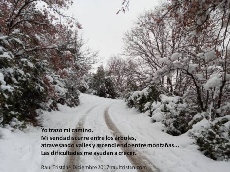 psicólogo zaragoza Raúl G. Tristán Yo trazo mi camino
